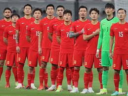 韩国教练侵