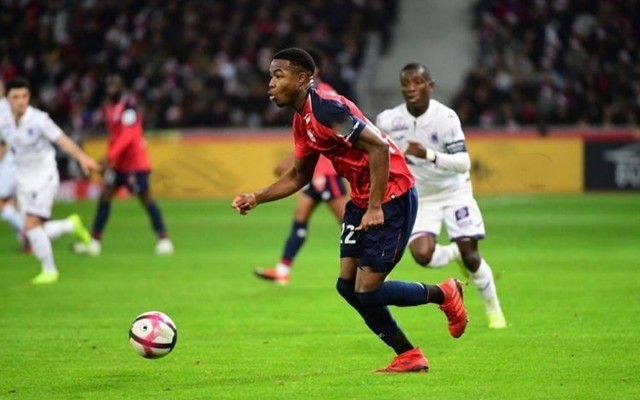 或许无论结 或许无论结