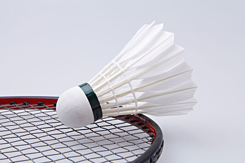 养年轻球员 养年轻球员