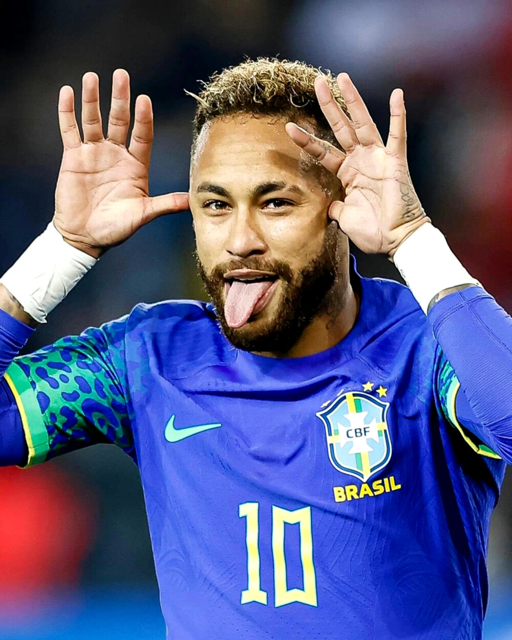 当年引进科 当年引进科