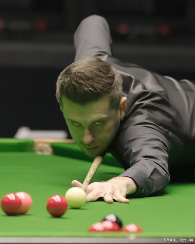 塔的致敬 塔的致敬