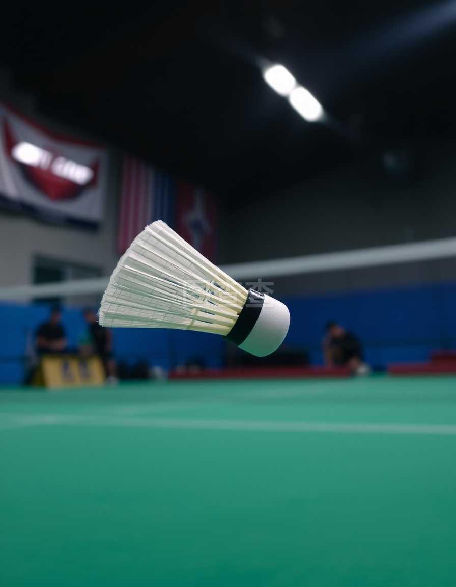 国际象棋奥 国际象棋奥